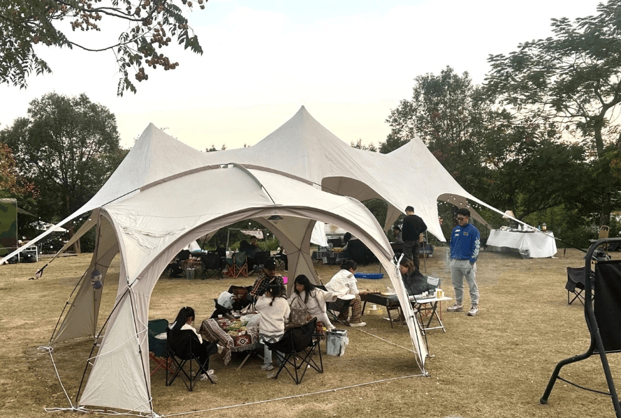 门“篷友”共筑文明露营新风尚瓦力游戏ap